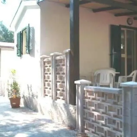 Lägenhet Orchideen-ferienwohnung Mit Ueberdachter Veranda By Interhome Vieste